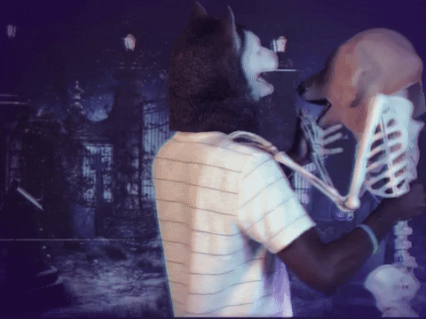 Skeleton Dance Dog Fox Romance GIF