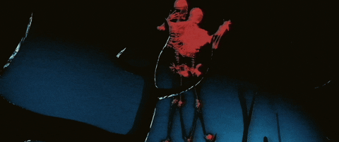 Skeleton Dance Halloween Xray Flash GIF