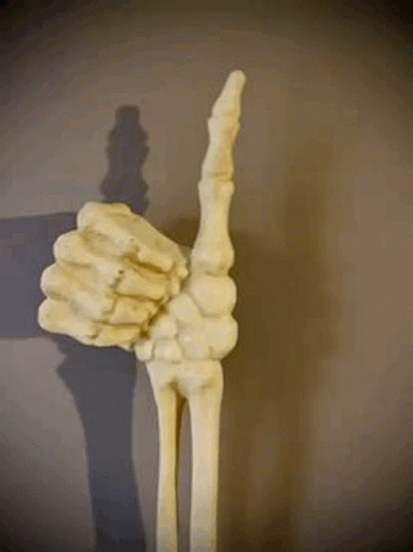 Skeleton Giving Thumbs Up GIF