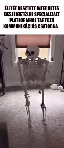 Skeleton in Front of Window