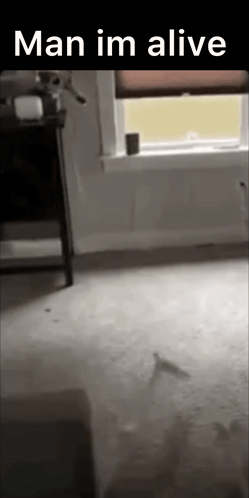 Skeleton Man Im Alive GIF