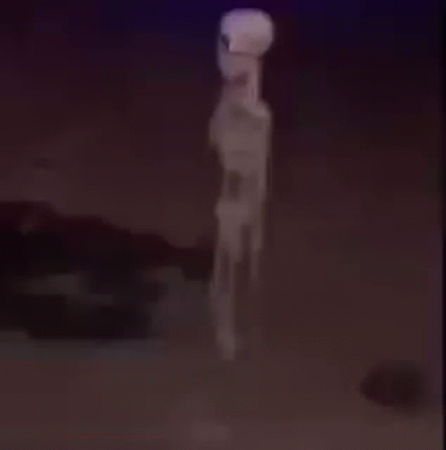Skeleton Standing Still Meme GIF