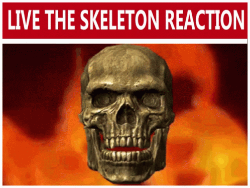 Fiery Live Skeleton Reaction Meme GIF