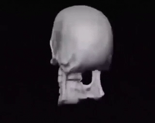 Skeleton Meme 498 X 396 Gif GIF