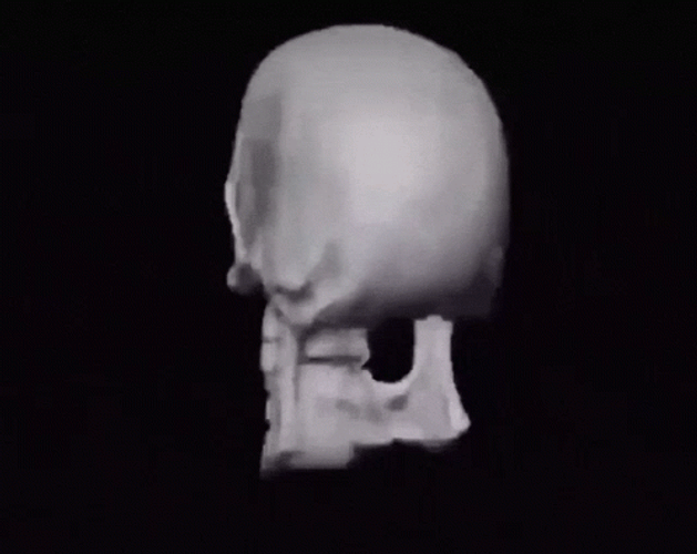 Skeleton Meme GIF