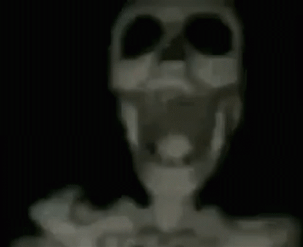 Skeleton Meme GIF