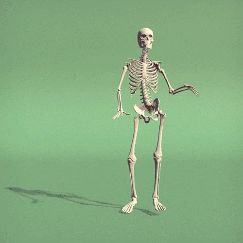 Skeleton Motion Capture Dance Meme GIF