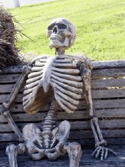 Skeleton Resting In Bench Meme GIF