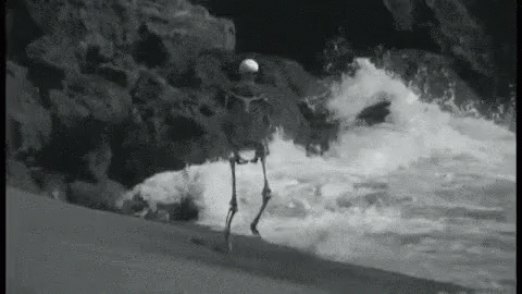 Skeleton Running Bay Shoreline GIF