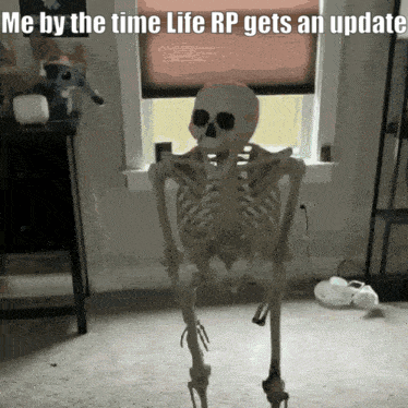 Skeleton Saying Me by the Time Life RP Gets an Update