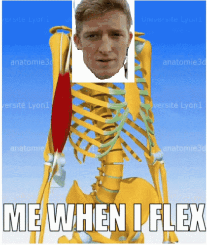 Skeleton Saying Me When I Flex GIF