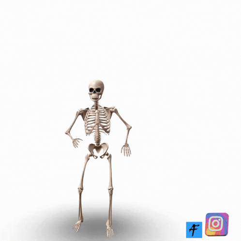 Skeleton Saying No Homework