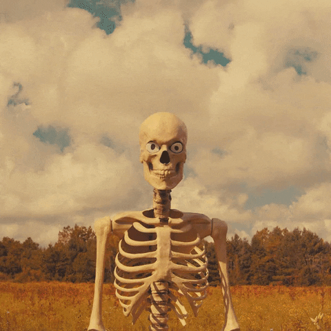Skeleton Says Sup How You Doing GIF