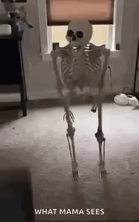 Skeleton Standing by Window in Living Room