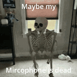 Skeleton Standing in Front of Window With Maybe My Microphone Is Dead