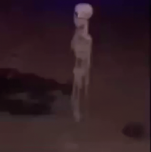 Skeleton Standing Still Meme GIF