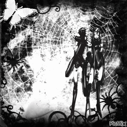 Skeleton With Spiders and Butterfly Picmix