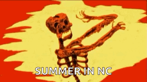 Skeleton with Summer in NC