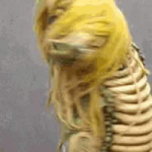 Skeleton with Yellow Wig