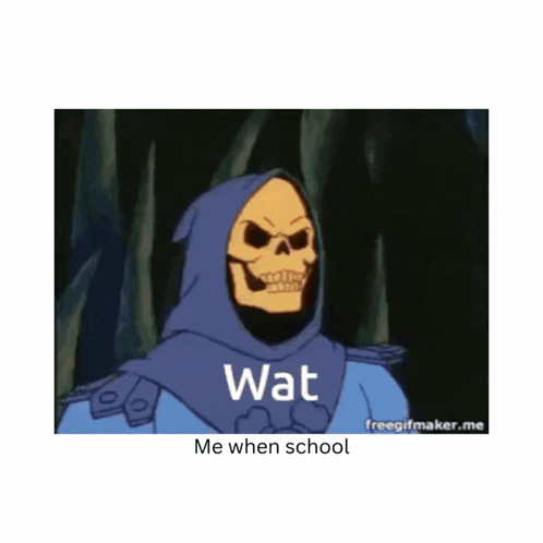 Skeletor Saying Wat Me When School