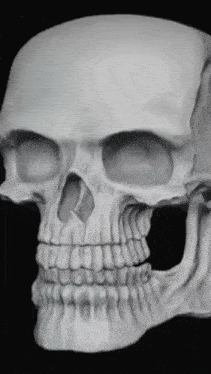 Skelly Head Smirk Gif GIF