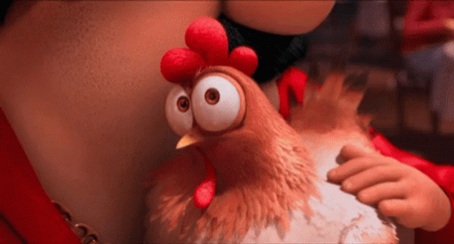 Skeptical Rooster Getting Pets Suspicious  GIF