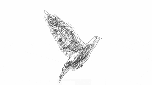 Sketch Of Dove Flapping Its Wings GIF