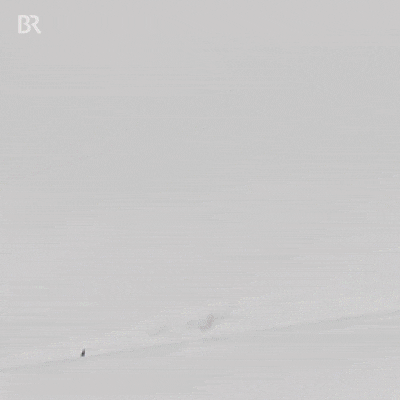 Ski 400 X 400 Gif GIF