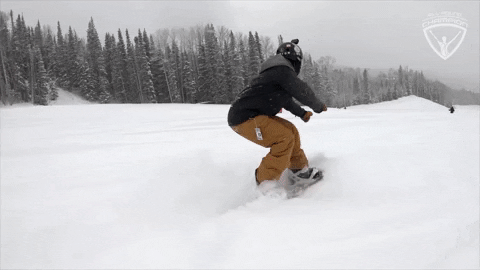 Ski 480 X 270 Gif GIF