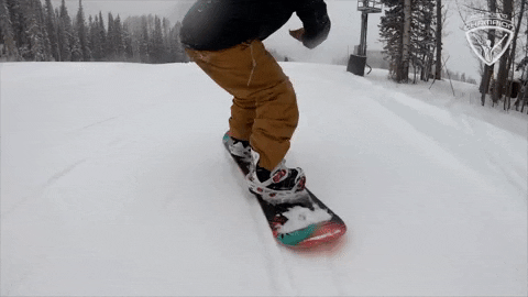 Ski 480 X 270 Gif GIF