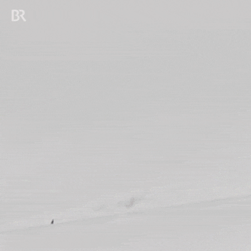 Ski GIF