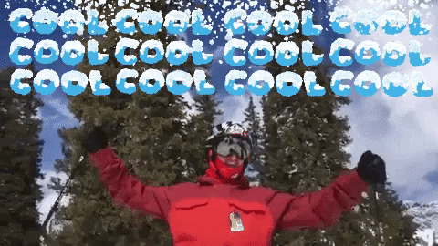 Ski Is So Cool To Do GIF