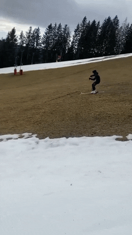 Ski Not In The Snow GIF