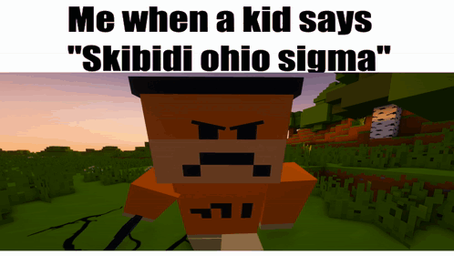 Skibidi Ohio Meme GIF