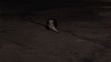 Skibidi Toilet Zombie Universe Monsterup Gif GIF