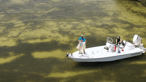 Skiff Guy Throws Fishing Net GIF