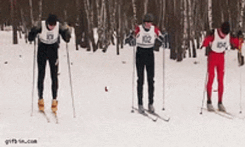 Skiing Race Epic Fail GIF