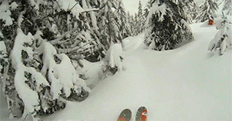 Skiing Race Winter Game GIF