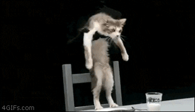 Skinny Cat Breakdancing Together GIF