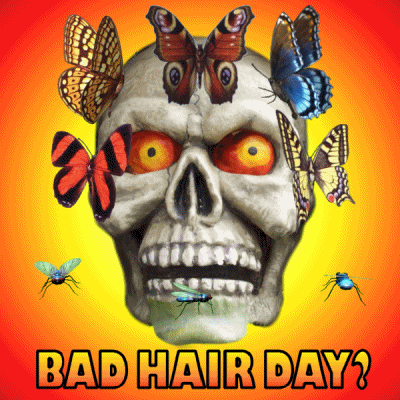 Skull Crazy Bad Hair Day GIF