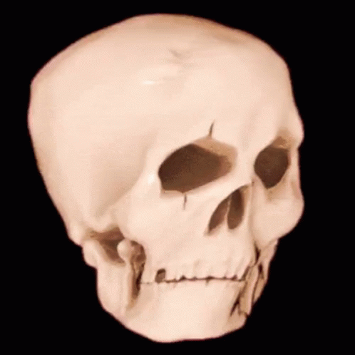 Skull Meme Jiggly Skeleton GIF