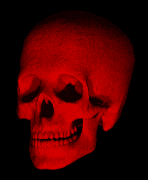 Skull Red Skull Gif GIF