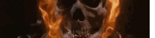Skull Surrounded by Flames