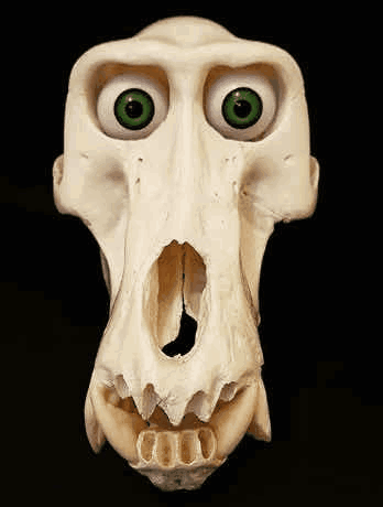 Skull With Green Eyes Like a Monkey