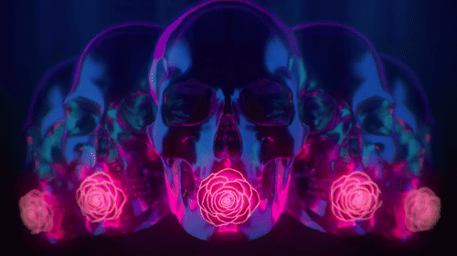 Skulls With Rose In Mouths GIF
