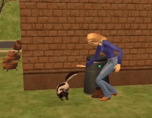 Skunk Attacks A Woman GIF