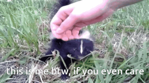 Skunk If You Even Care GIF
