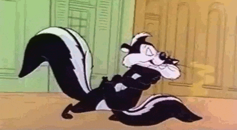 Skunk Pepe Hugs Black Cat GIF