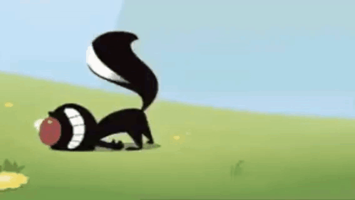 Skunk Playing With Ball Frog Behind