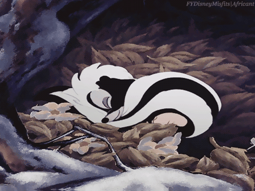 Skunk Sleeping in Leaf Pile Fydisneymisfits Africant